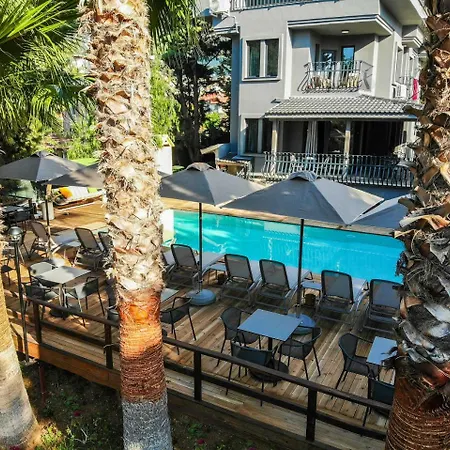 Olive House Apartment